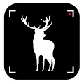 SC-Lite
