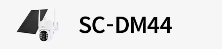 DM44