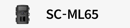 ML65