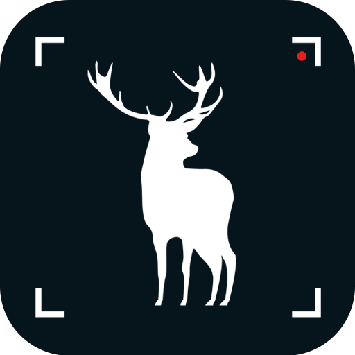 Hunting Camera